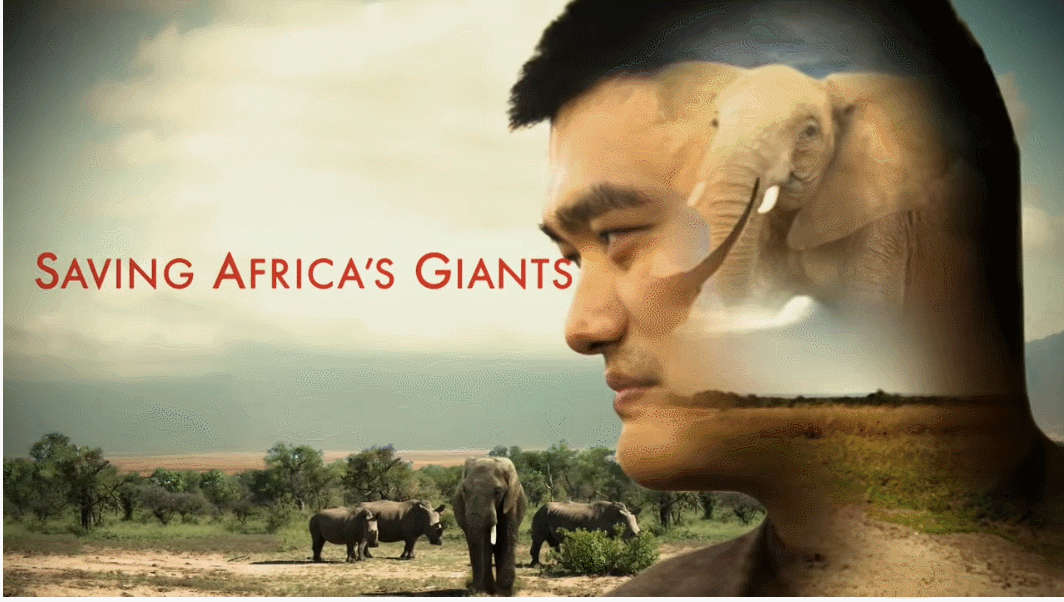 非洲勇士的壮举——埃及足球队逆袭晋级重要比赛的简单介绍 非洲勇士的壮举——埃及足球队逆袭晋级重要比赛的简单介绍