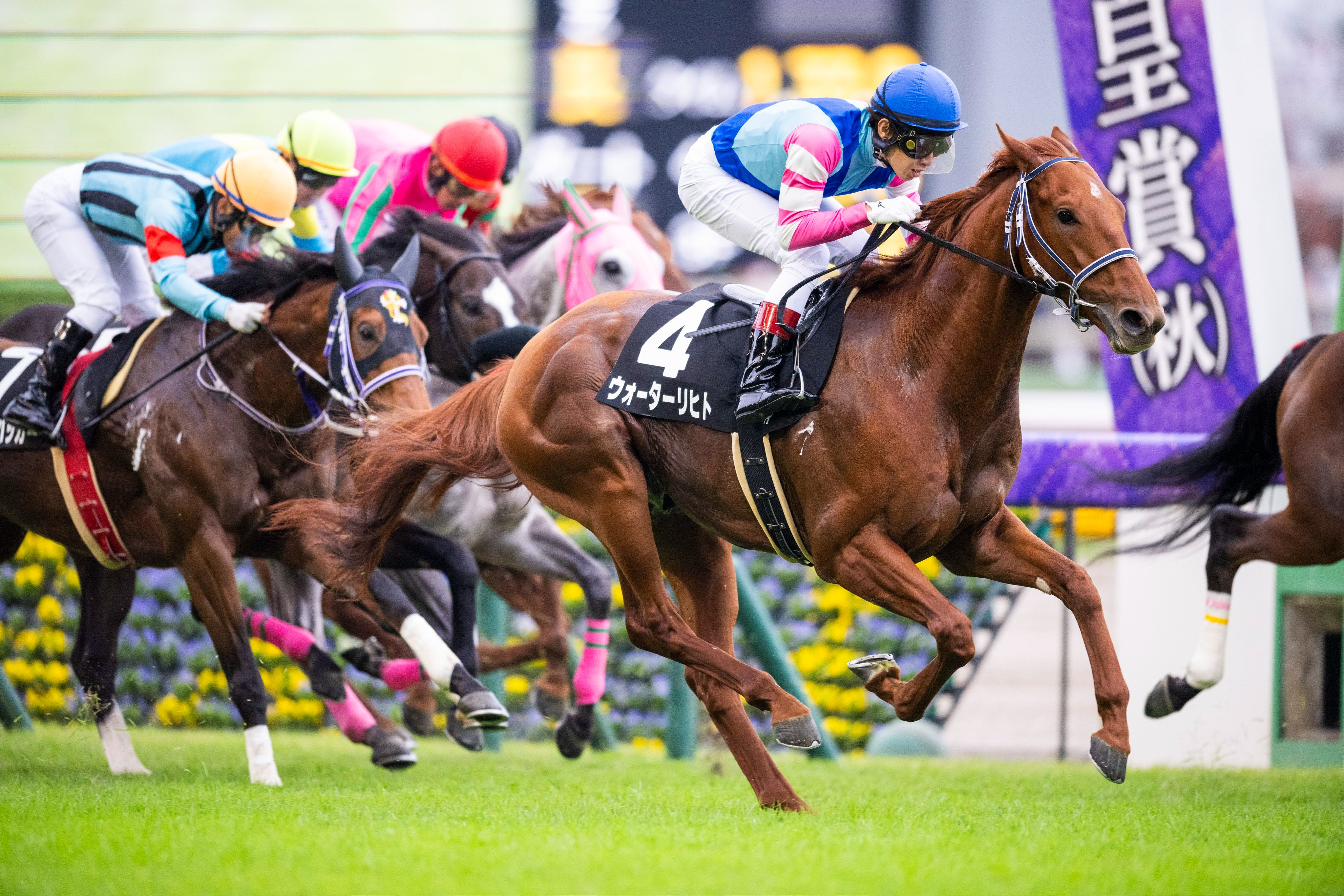 包含马赛球员当选最佳,队伍声势汹汹的词条 包含马赛球员当选最佳,队伍声势汹汹的词条