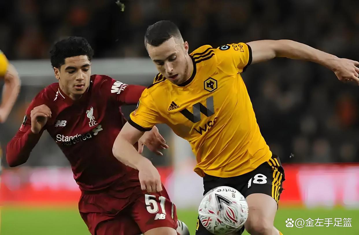 开云体育官方网站-包含狼队客场失利，球迷呼吁提升整体实力的词条