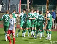 开云APP-不莱梅客场逆转，力克强敌夺得宝贵三分的简单介绍