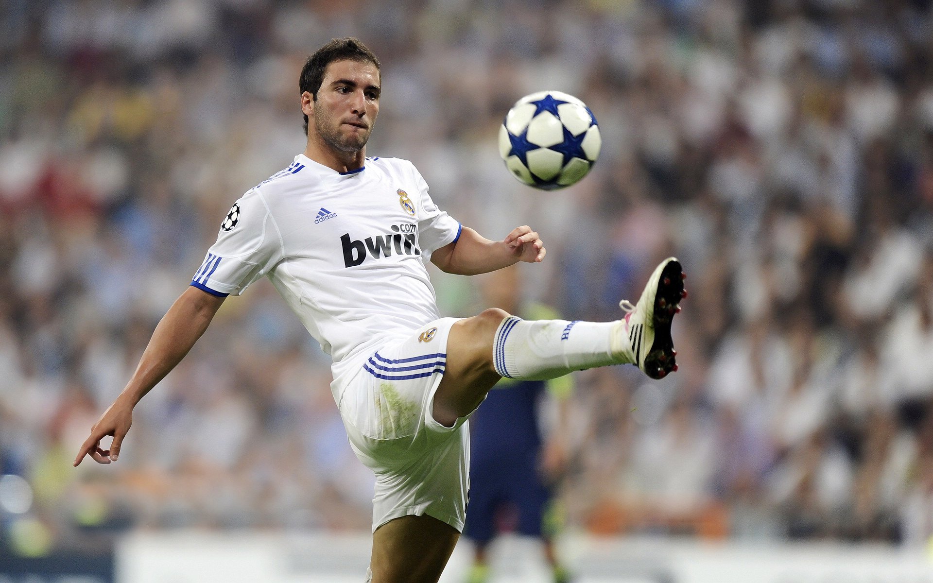 开云体育官方网站-双城记，辽宁与金州，英雄的平行宇宙